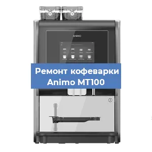 Замена счетчика воды (счетчика чашек, порций) на кофемашине Animo MT100 в Ростове-на-Дону